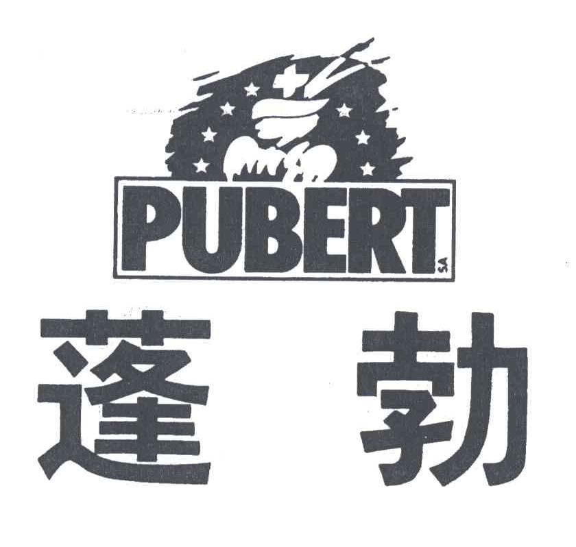 蓬勃;PUBERT
