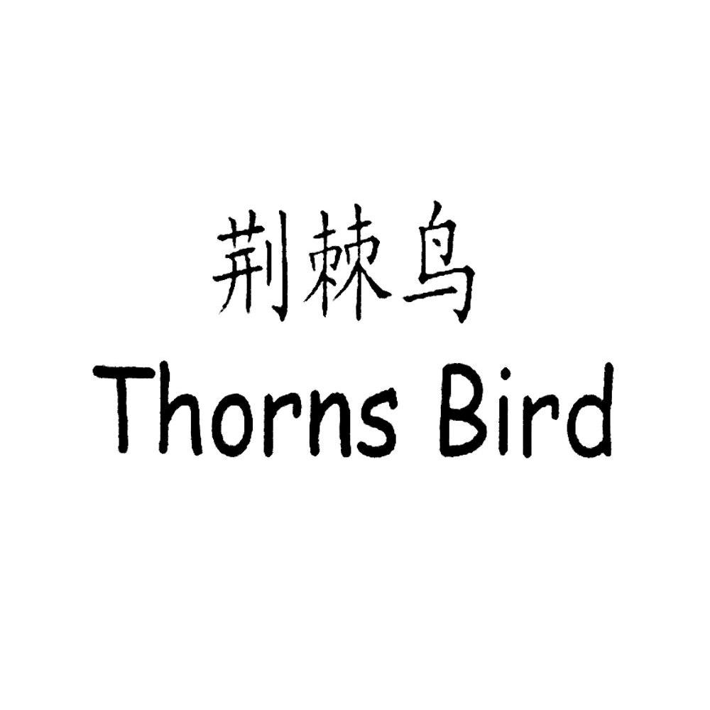 荆棘鸟 THORNS BIRD