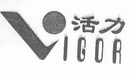 活力;VIGOR