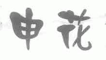 申花