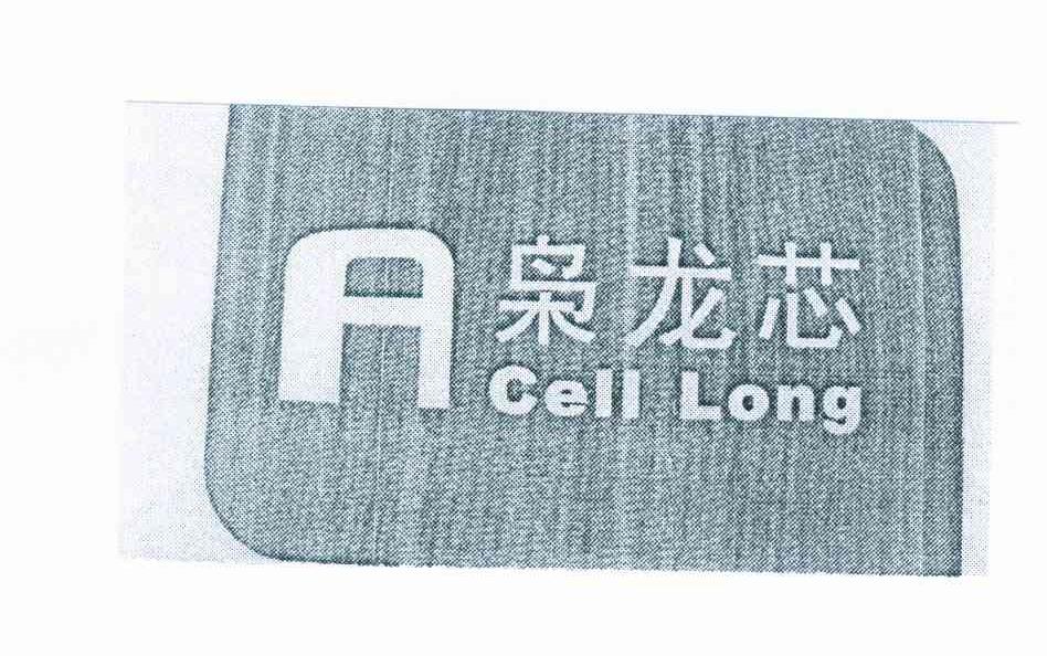 枭龙芯 CELL LONG A