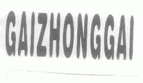 GAIZHONGGAI
