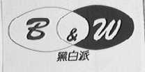 黑白派