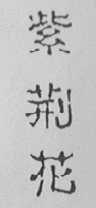 紫荆花