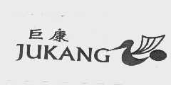 巨康