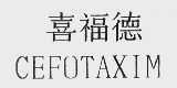 喜福德  CEFOTAXIM