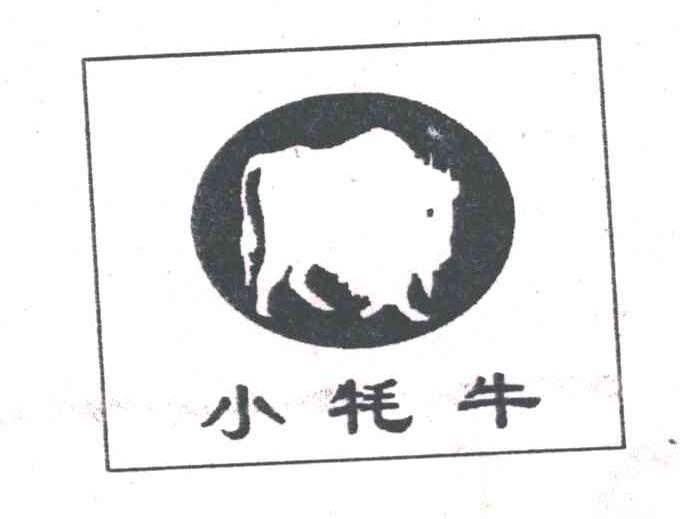 小牦牛