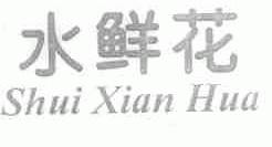 水鲜花