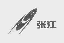 张江