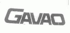 GAVAO
