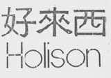 好来西    HOLISON