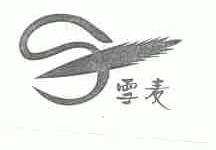 雪麦