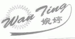 婉婷