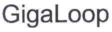 GIGALOOP