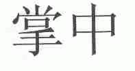 掌中