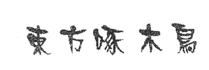 东方啄木鸟