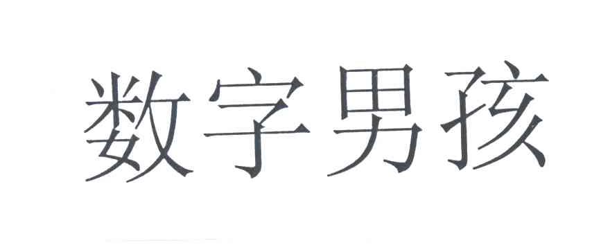 数字男孩