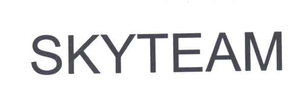 SKYTEAM