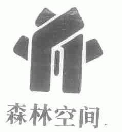 森林空间