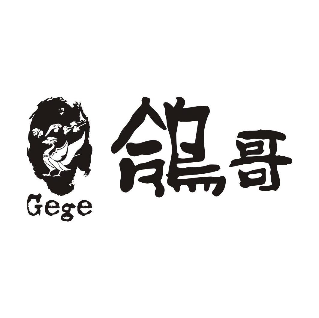 鸽哥