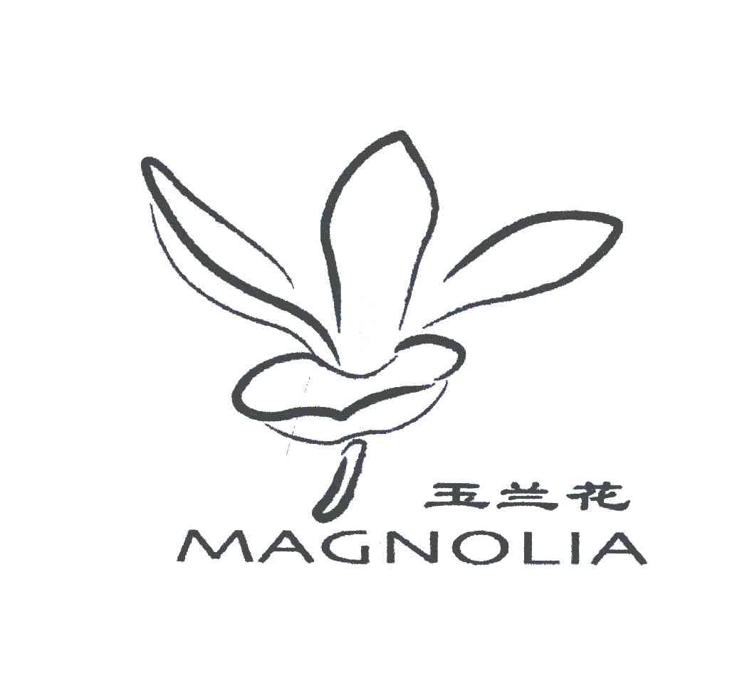 玉兰花;MAGNOLIA