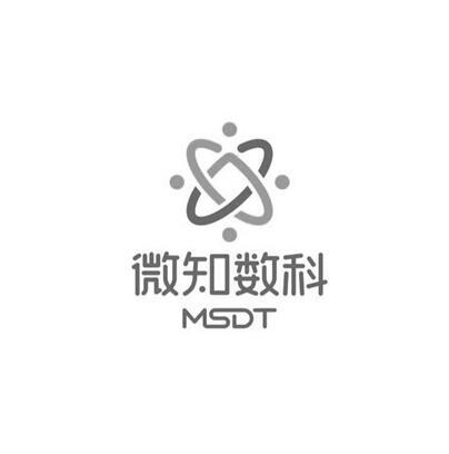 微知数科 MSDT