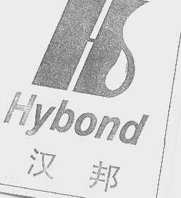 汉邦   HYBOND