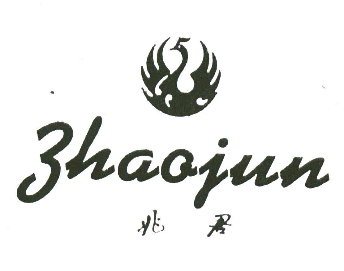 兆君