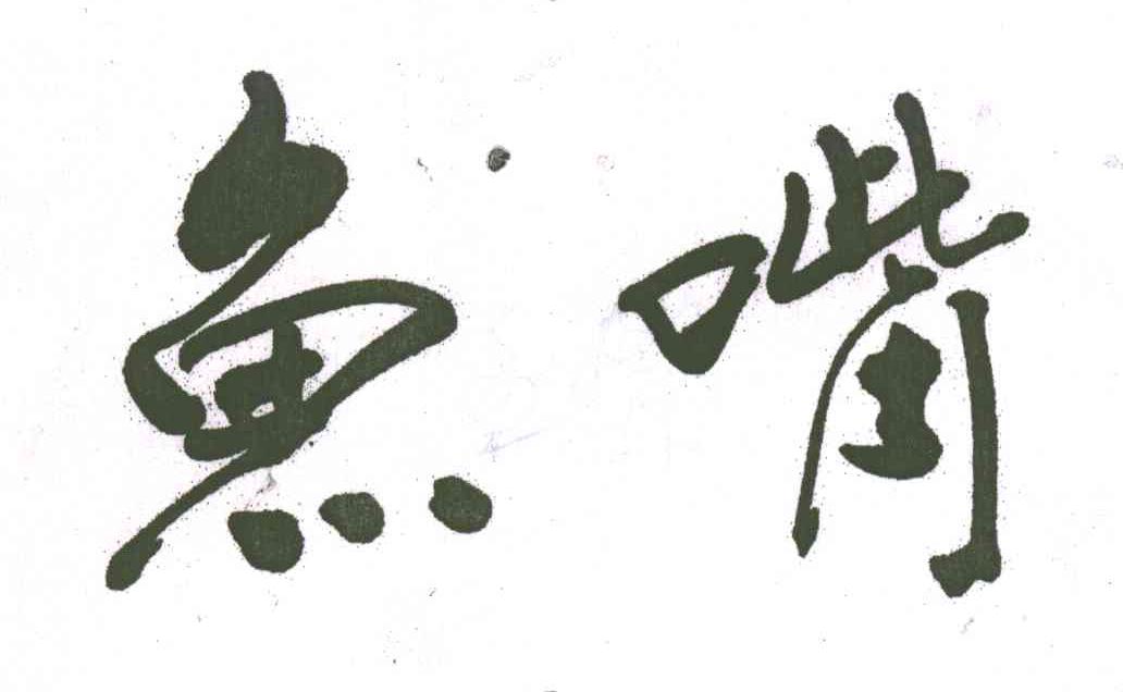 鱼嘴