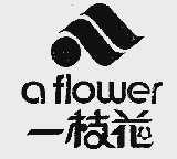 一枝花;A FLOWER