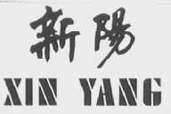 新阳