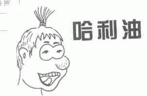 哈利油