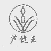 芦健王