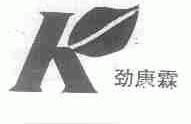 劲康霖