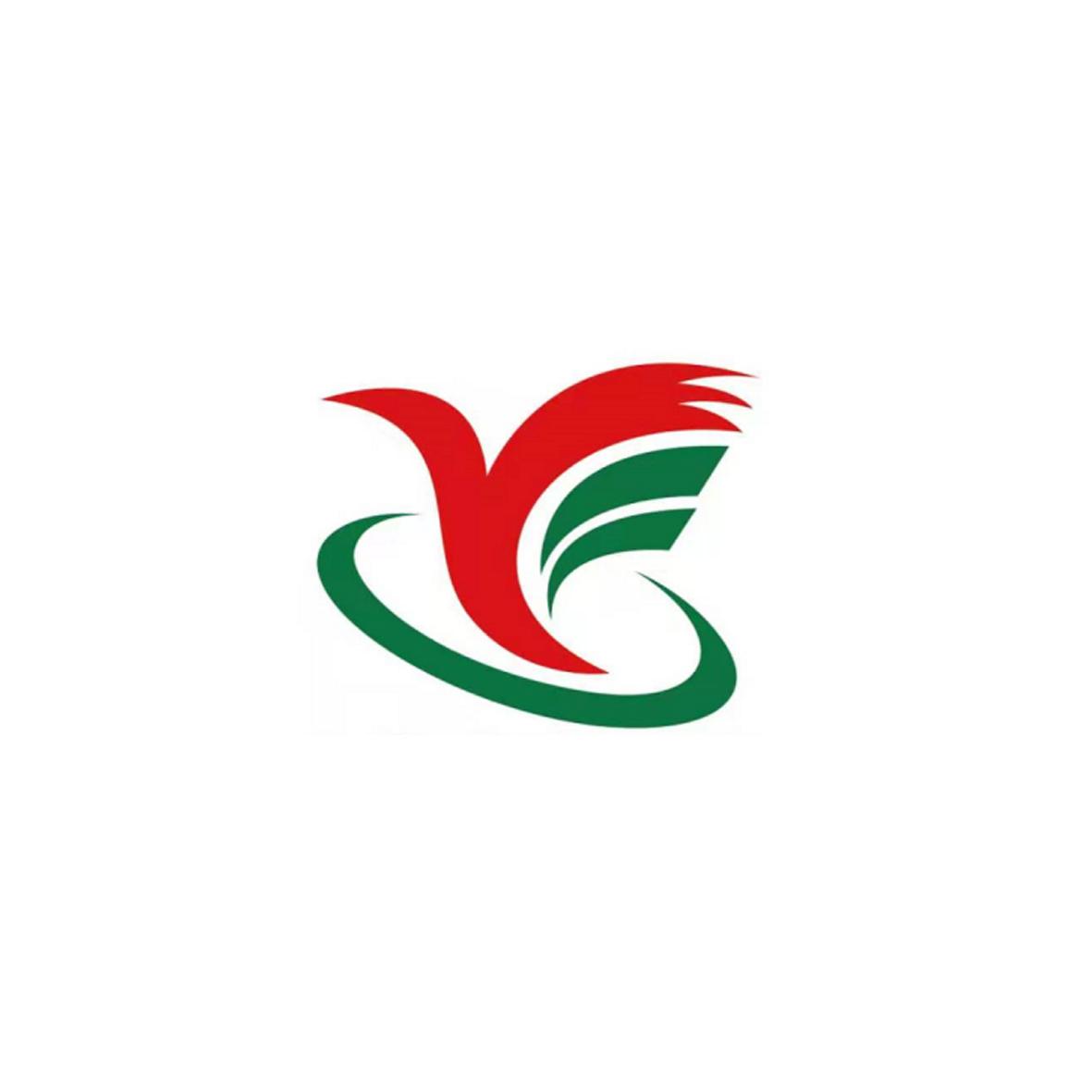 图形