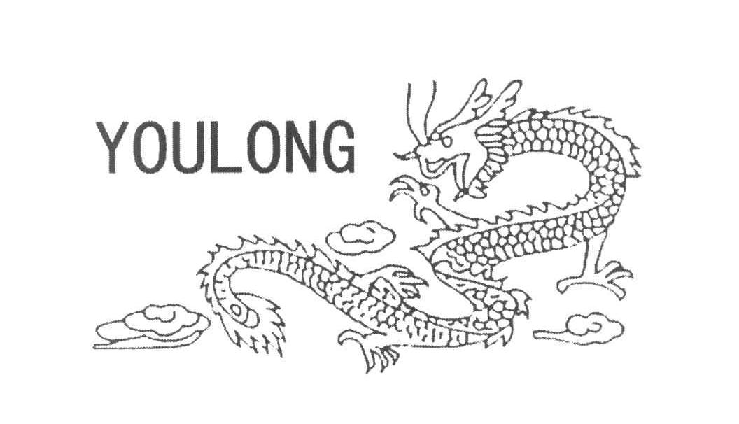 YOULONG