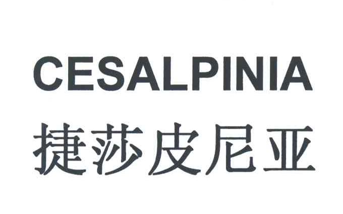 捷莎皮尼亚;CESALPINIA