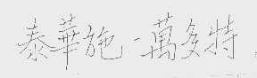 泰华施万多特