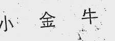小金牛
