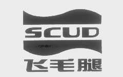 飞毛腿   SCUD