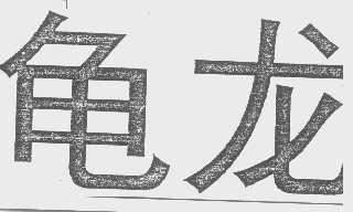 龟龙