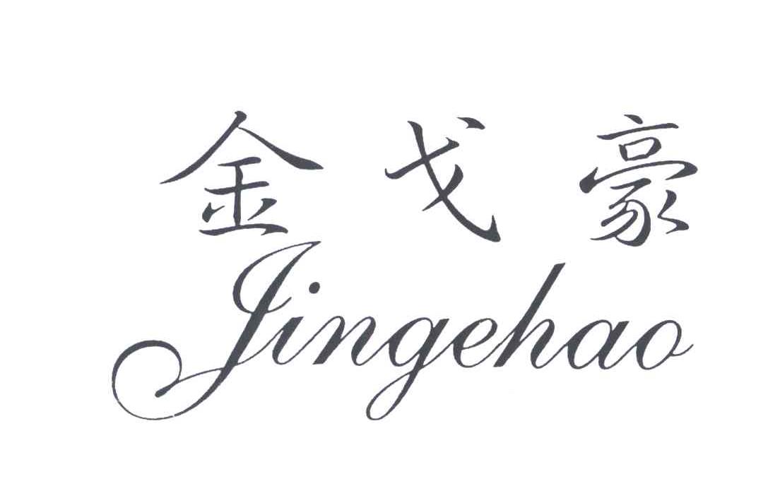 金戈豪;