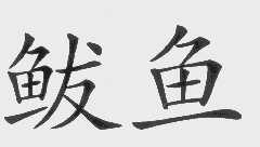 鲅鱼