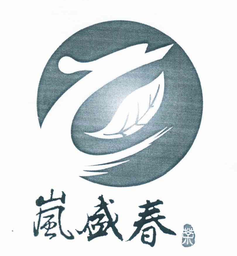 岚盛春 茶