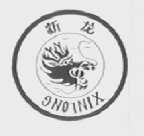 新龙