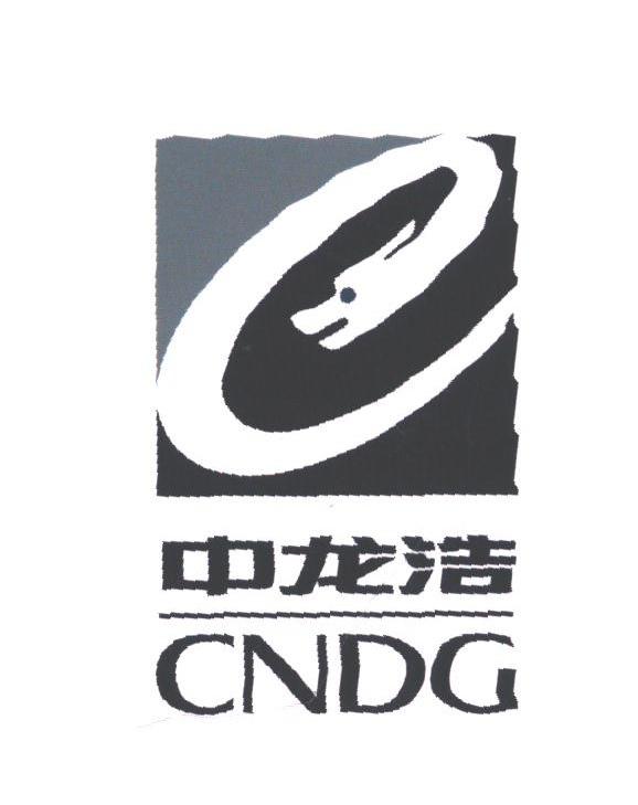 中龙浩;CNKG