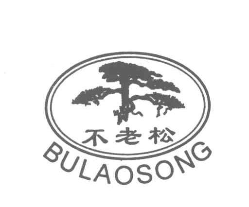 不老松