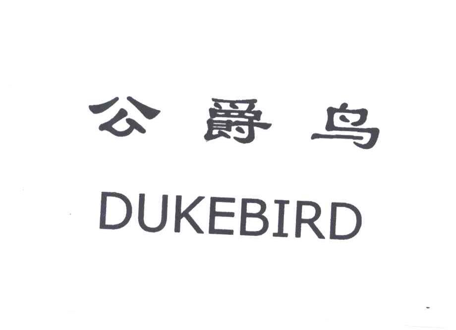 公爵鸟DUKEBIRD