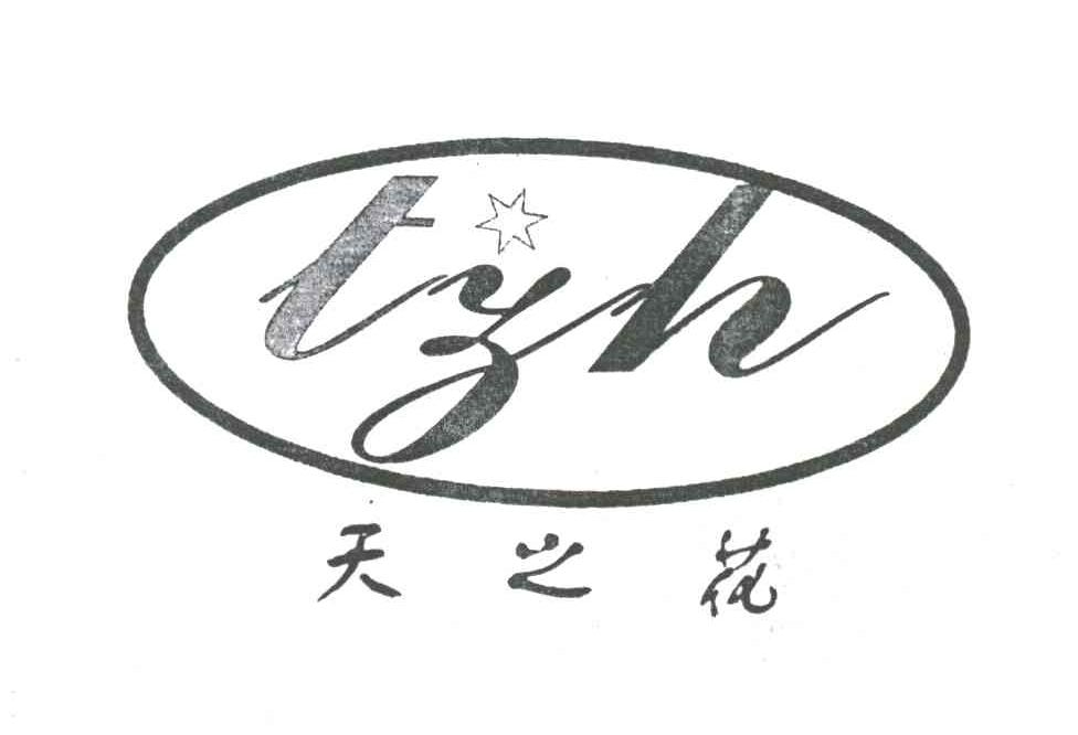 天之花TZH