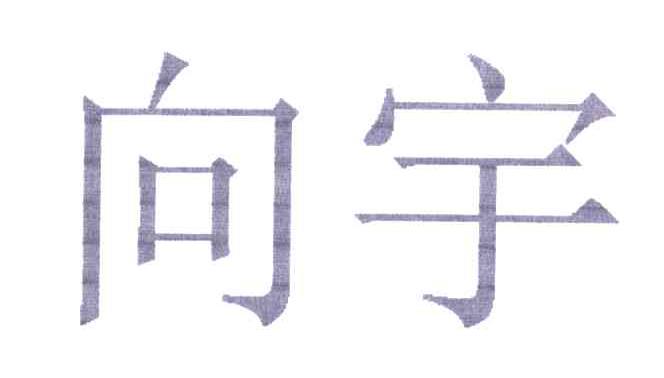 向宇